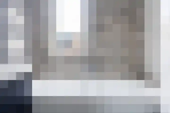 Apollovlinder 34 Amersfoort thumbnail 30