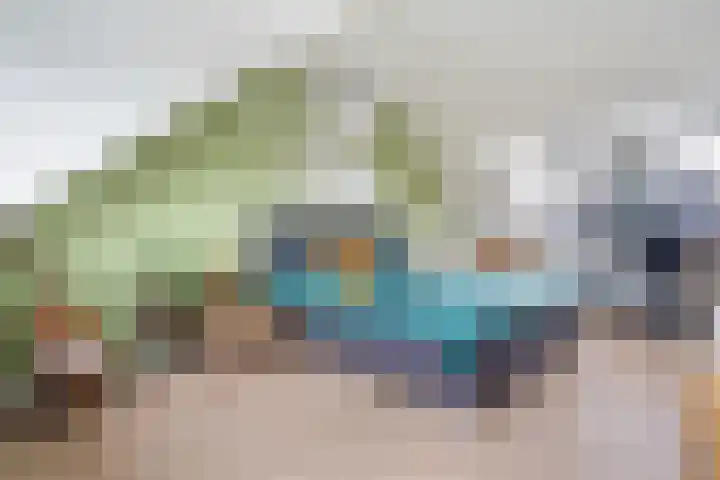 Apollovlinder 34 Amersfoort thumbnail 32