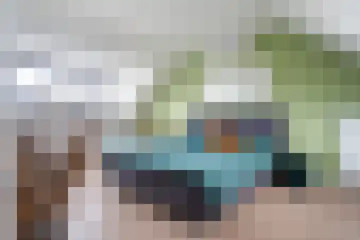 Apollovlinder 34 Amersfoort thumbnail 33