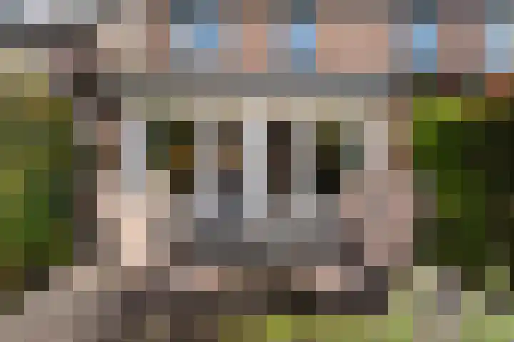 Apollovlinder 34 Amersfoort thumbnail 8