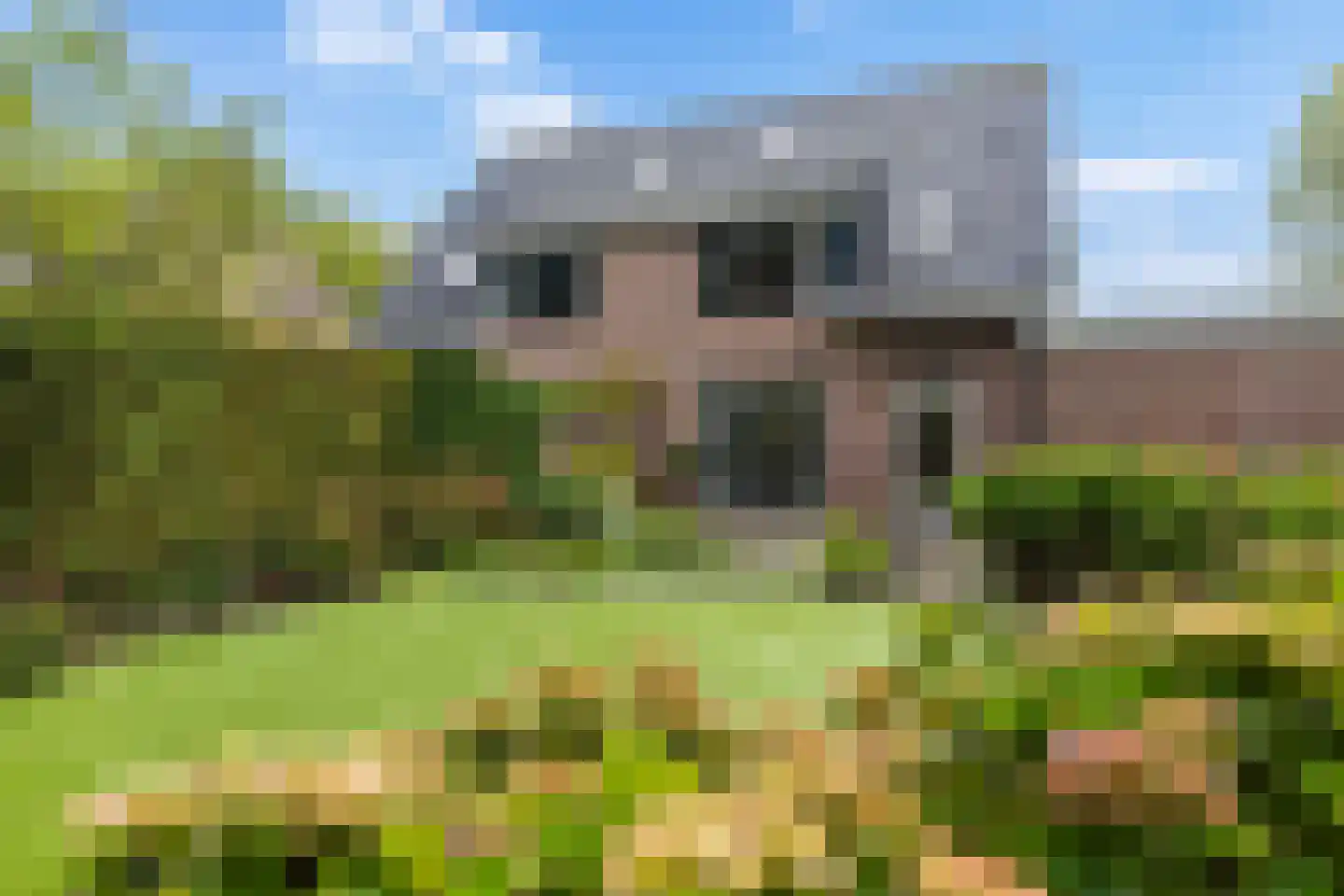 Apollovlinder 46 Bilthoven thumbnail 23