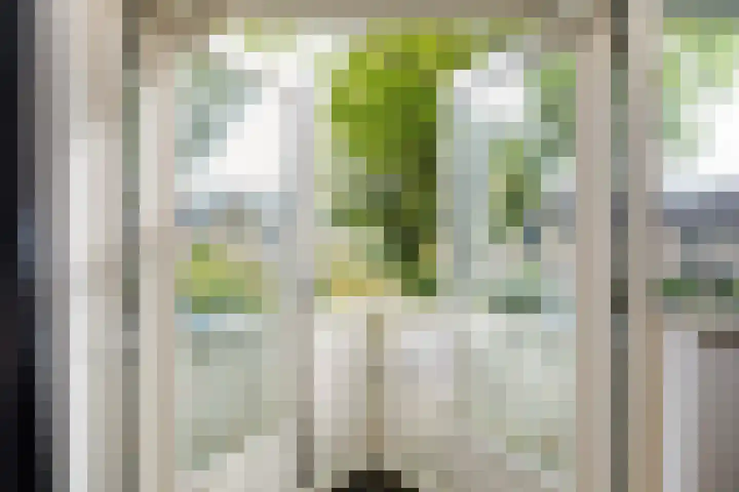 Apollovlinder 46 Bilthoven thumbnail 29