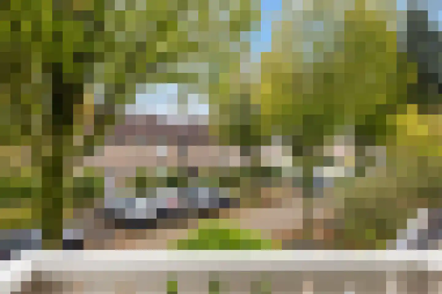 Apollovlinder 46 Bilthoven thumbnail 30