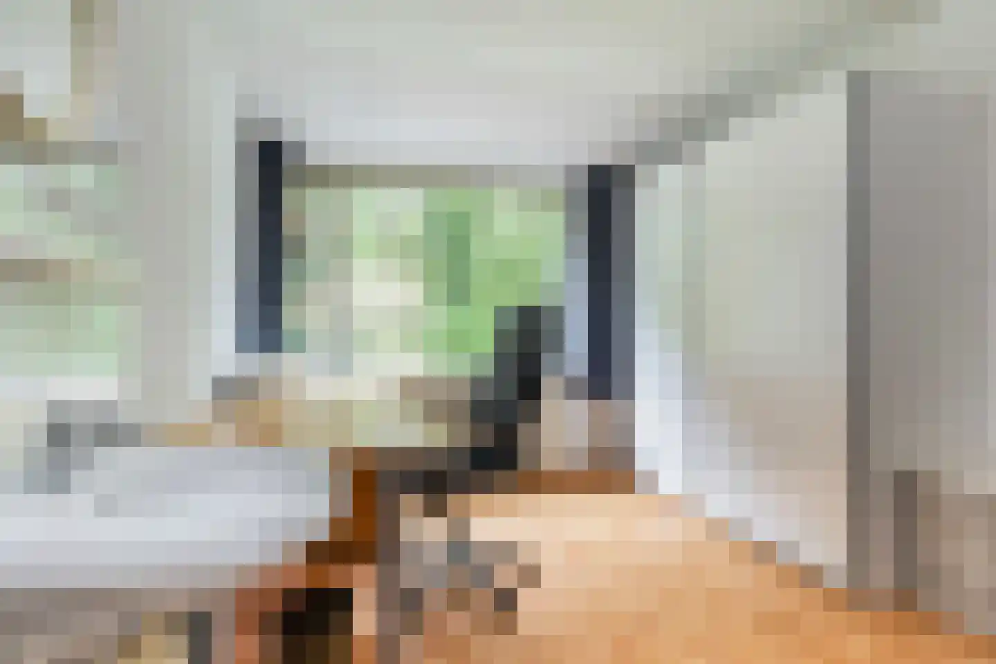 Apollovlinder 46 Bilthoven thumbnail 31