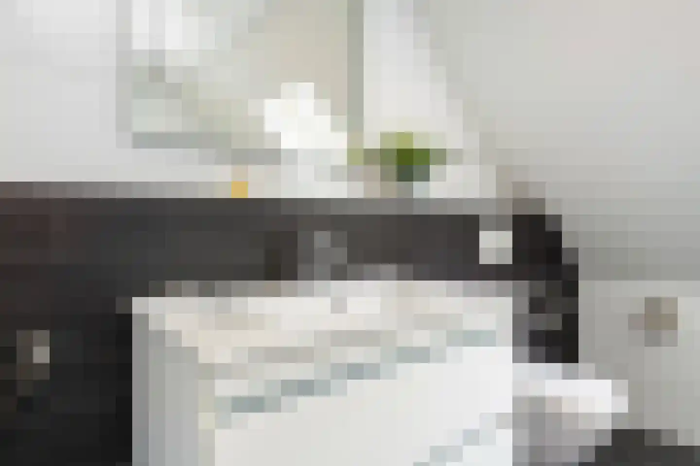 Apollovlinder 46 Bilthoven thumbnail 35