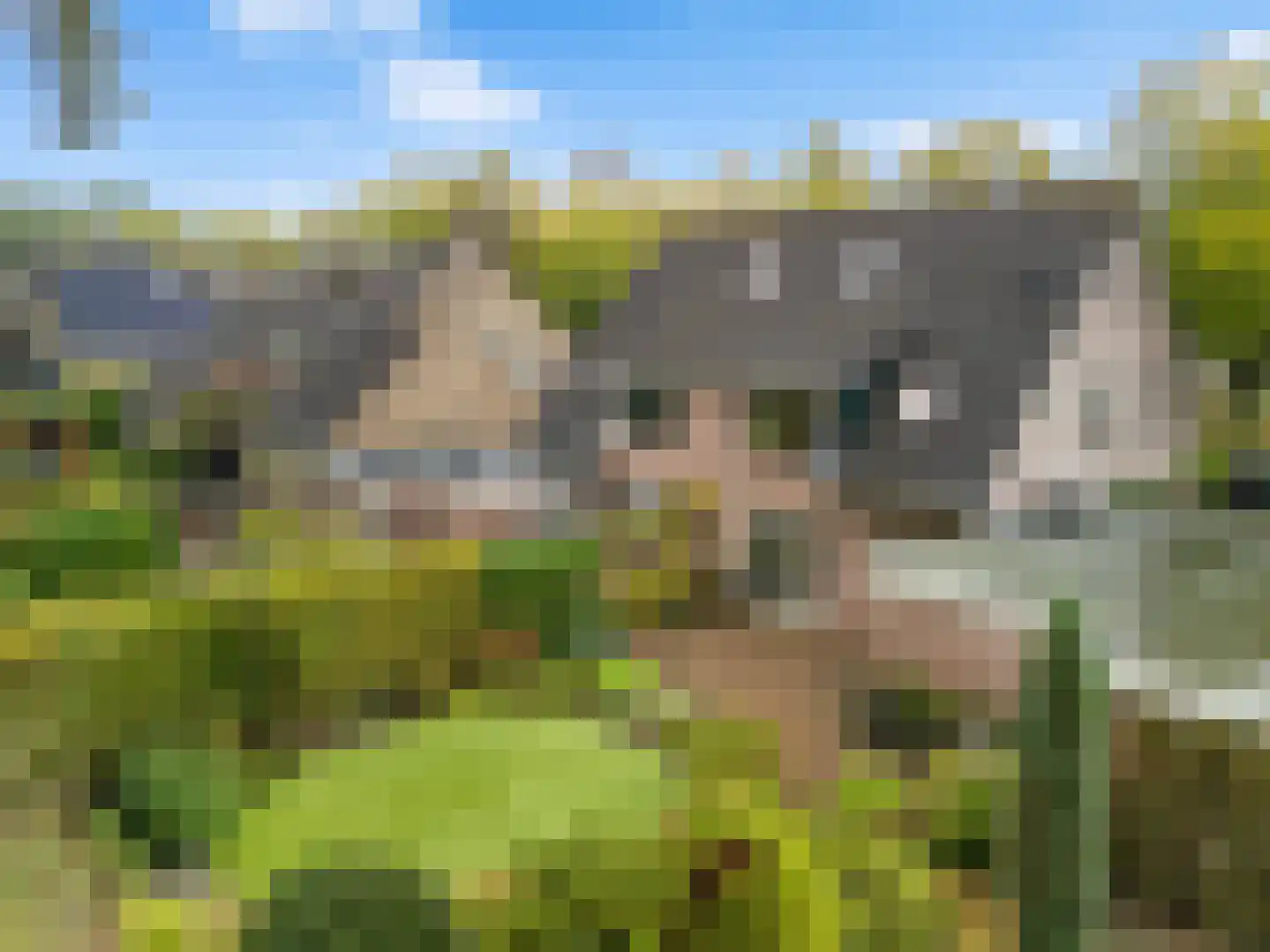 Apollovlinder 46 Bilthoven thumbnail 37