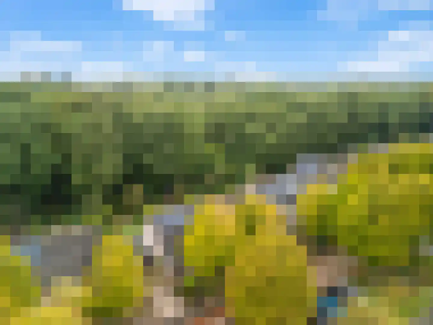 Apollovlinder 46 Bilthoven thumbnail 39