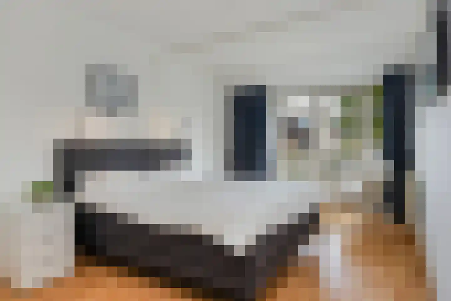 Apollovlinder 46 Bilthoven thumbnail 5