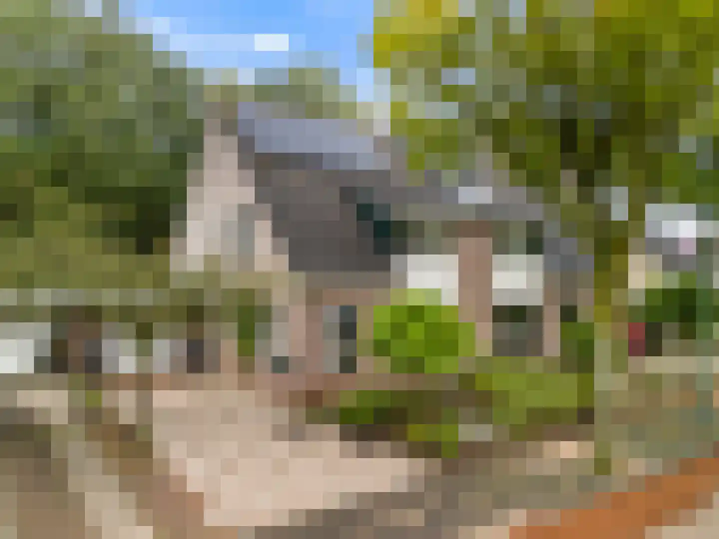 Apollovlinder 46 Bilthoven thumbnail 6