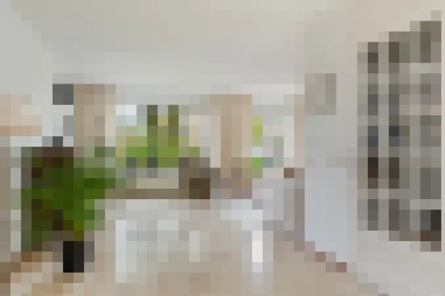 Apollovlinder 46 Bilthoven thumbnail 8