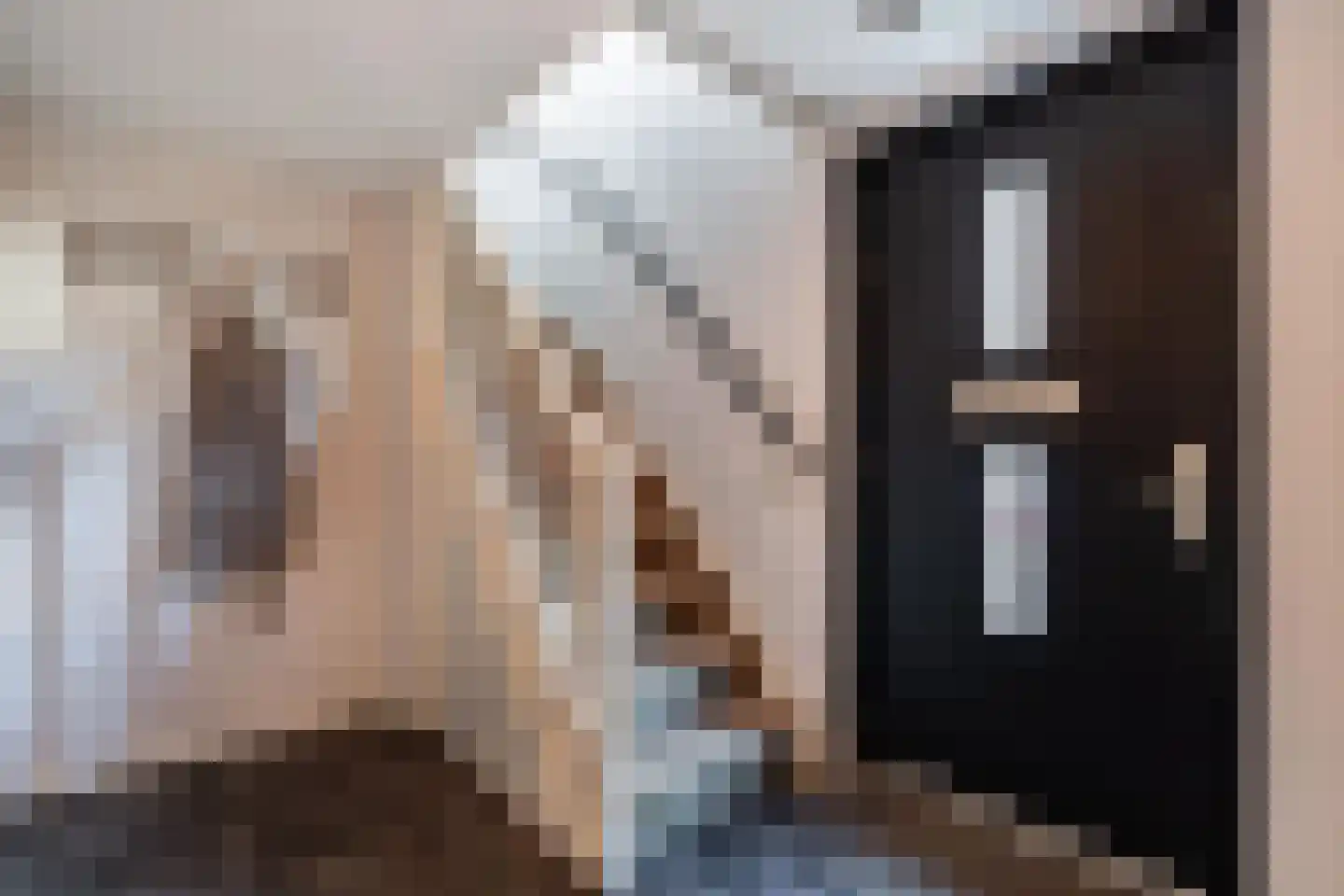 Apollovlinder 47 Sneek thumbnail 10