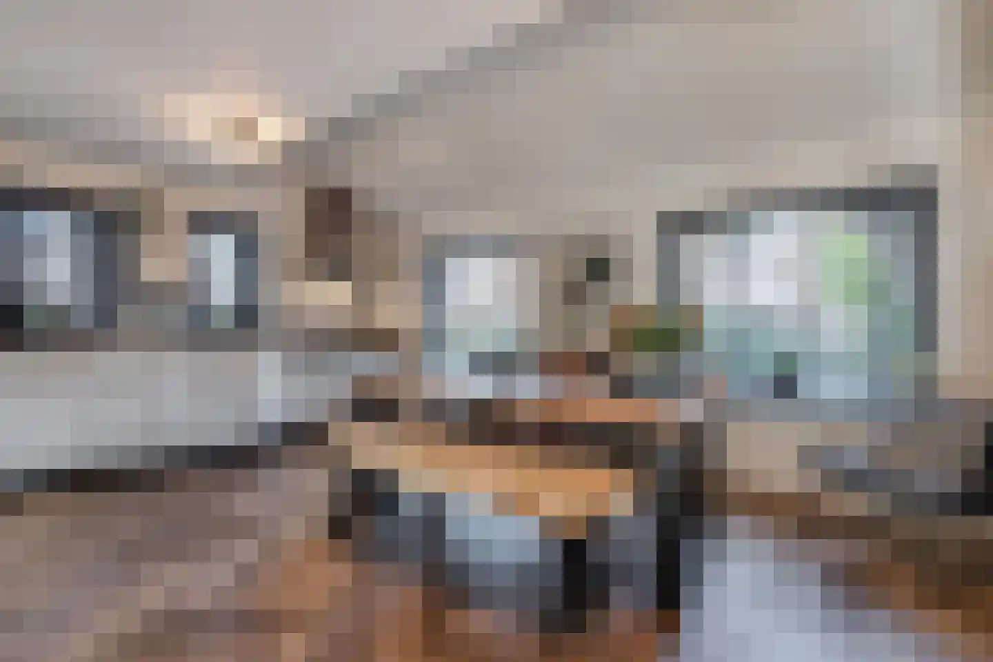 Apollovlinder 47 Sneek thumbnail 12