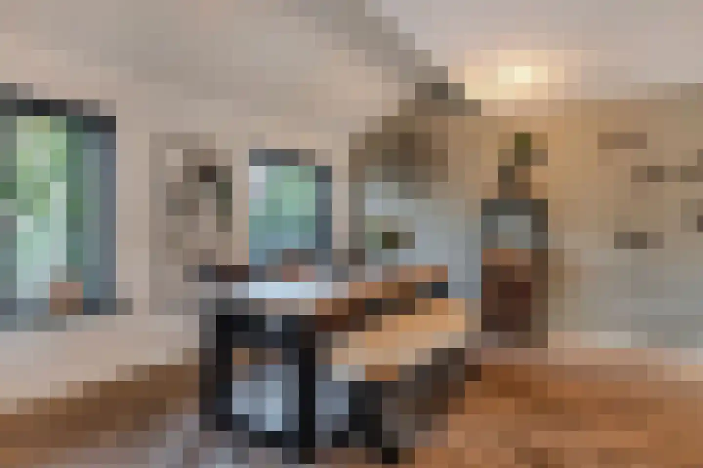 Apollovlinder 47 Sneek thumbnail 15