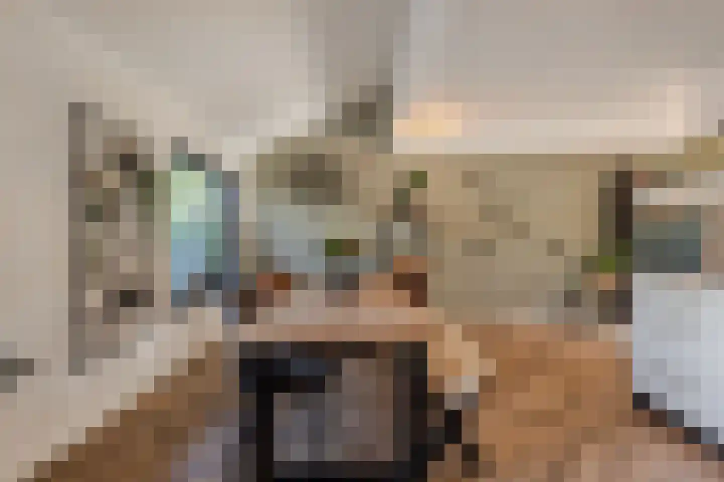 Apollovlinder 47 Sneek thumbnail 17