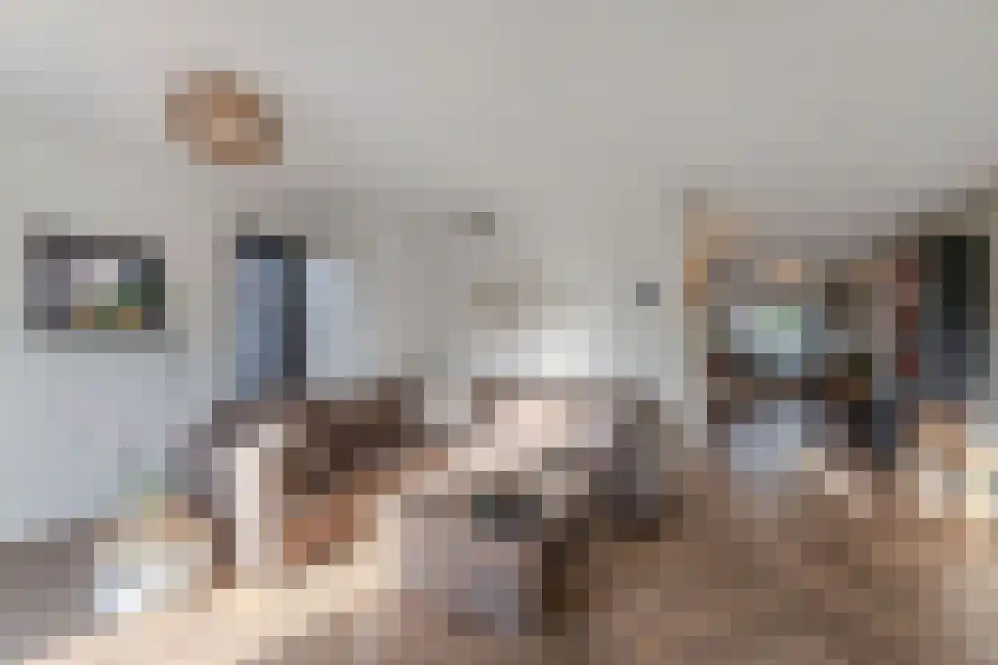 Apollovlinder 47 Sneek thumbnail 18