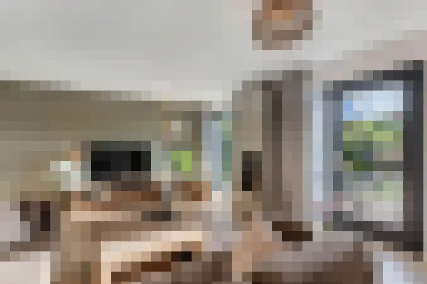 Apollovlinder 47 Sneek thumbnail 20