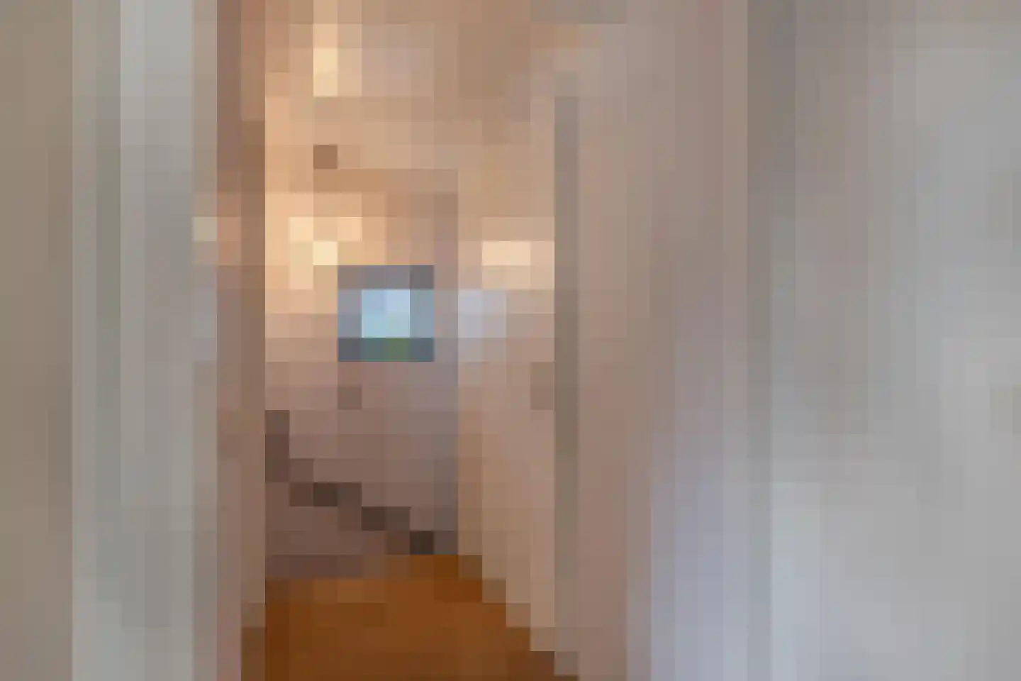 Apollovlinder 47 Sneek thumbnail 23