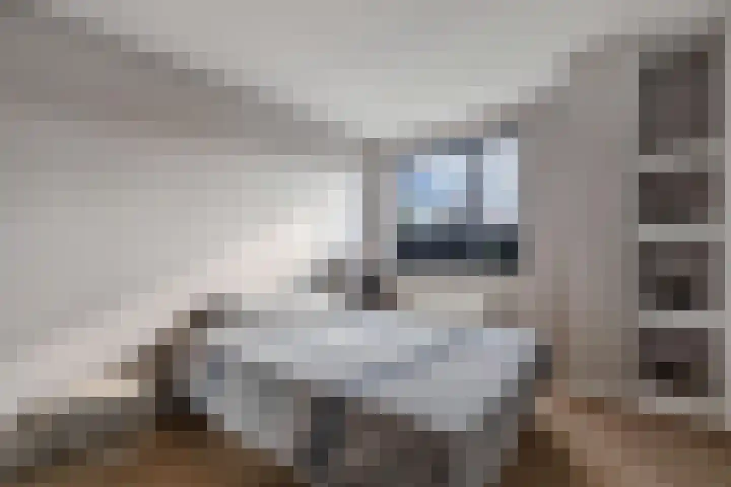 Apollovlinder 47 Sneek thumbnail 26
