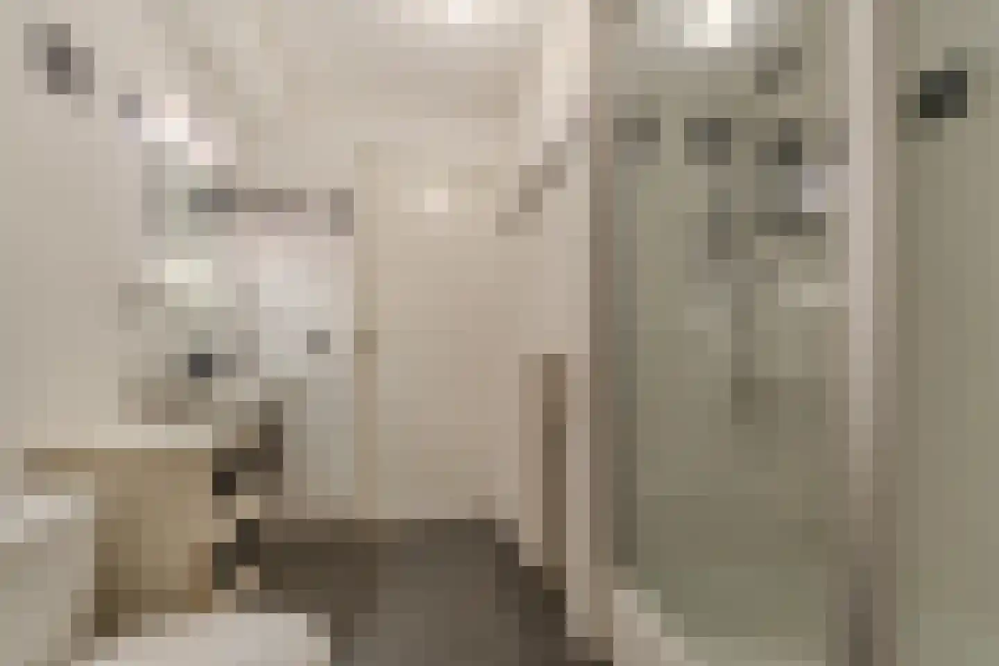 Apollovlinder 47 Sneek thumbnail 32