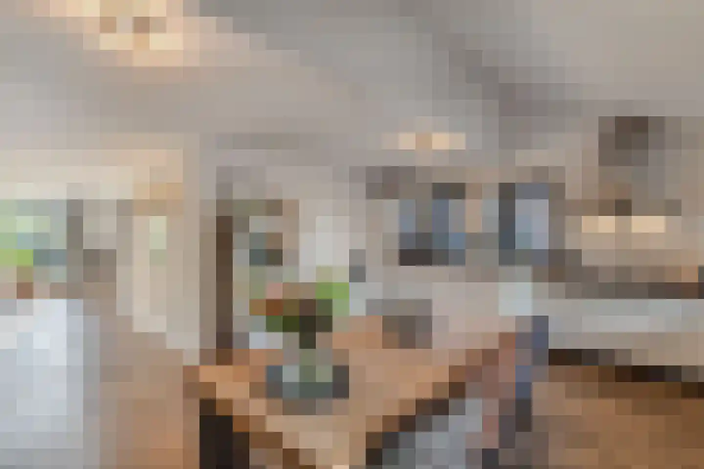 Apollovlinder 47 Sneek thumbnail 4