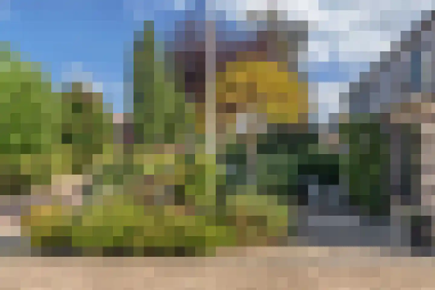 Apollovlinder 47 Sneek thumbnail 46