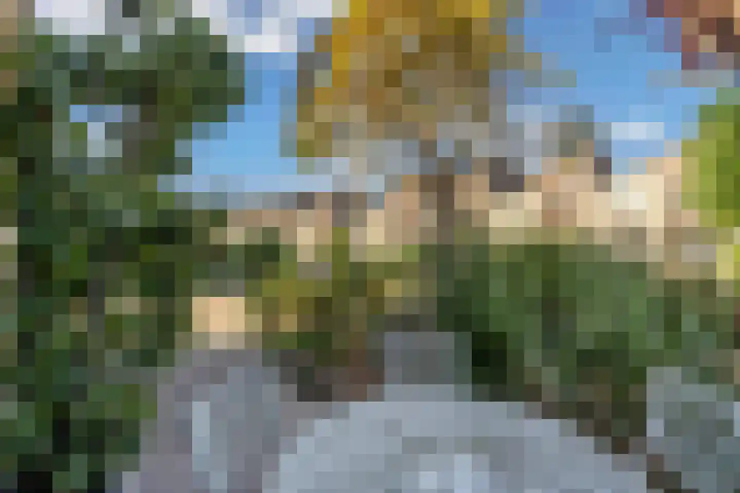 Apollovlinder 47 Sneek thumbnail 47