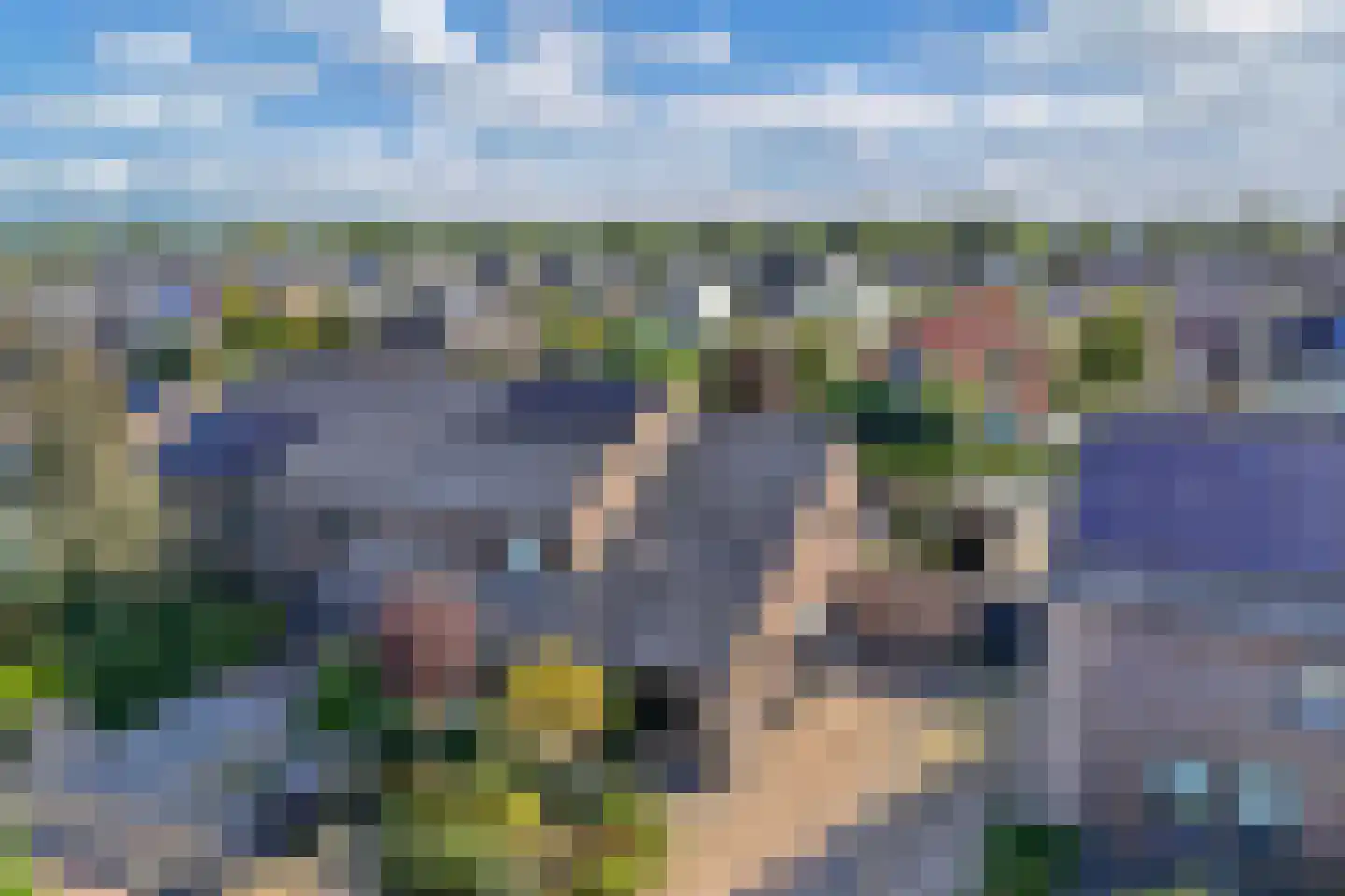 Apollovlinder 47 Sneek thumbnail 48