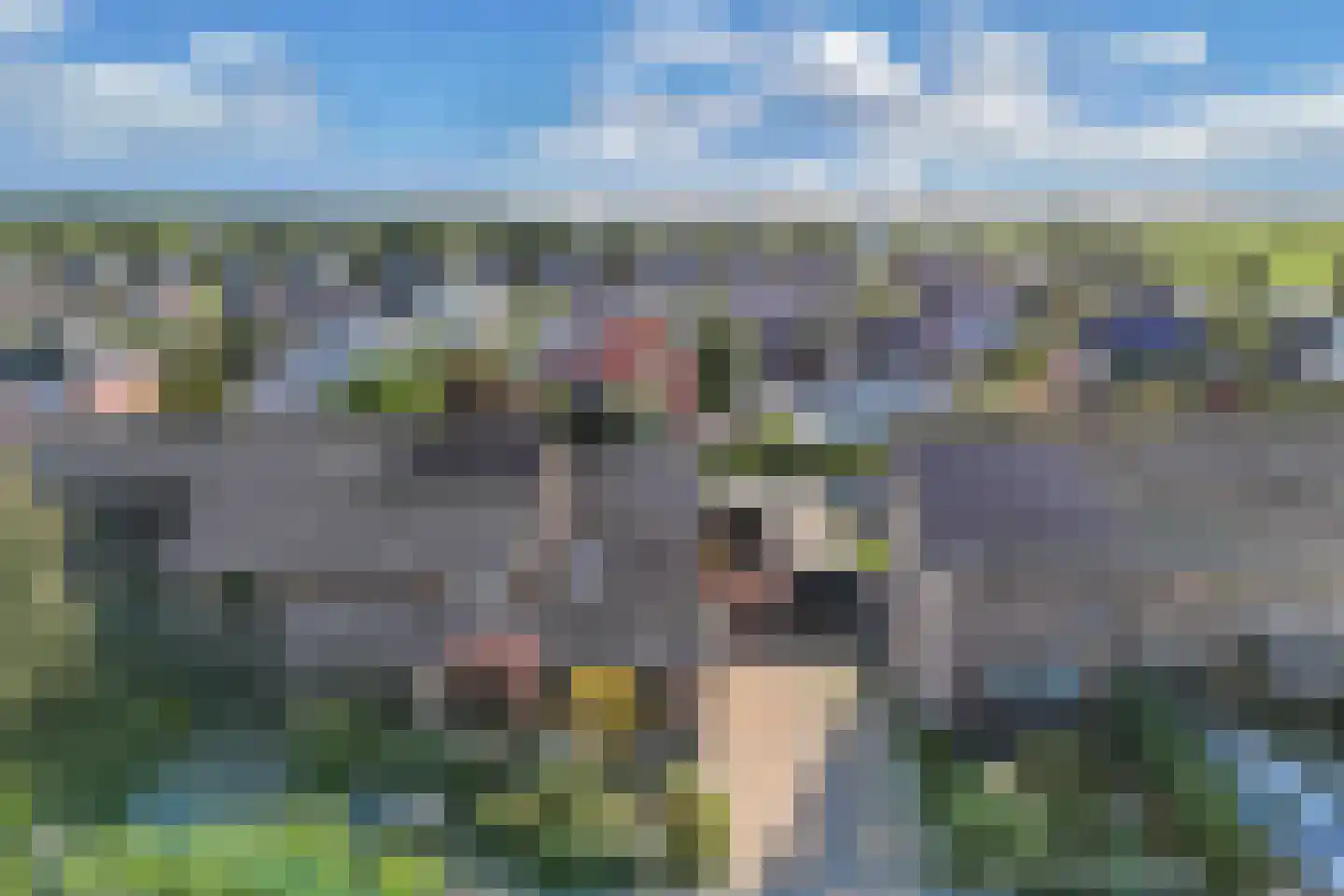 Apollovlinder 47 Sneek thumbnail 49