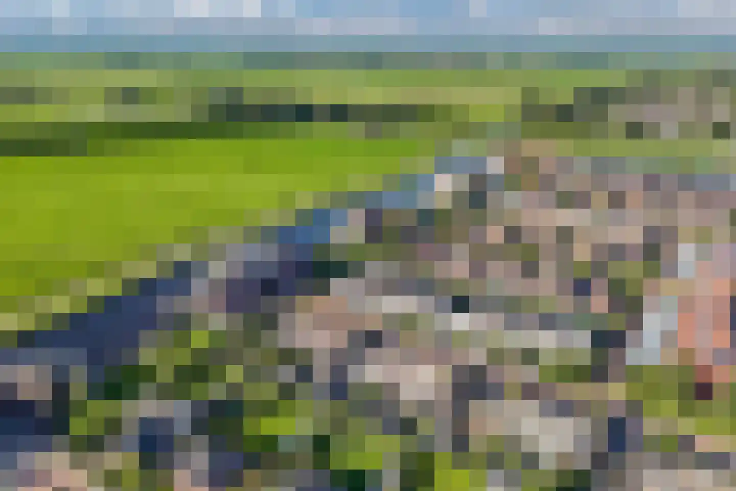 Apollovlinder 47 Sneek thumbnail 50