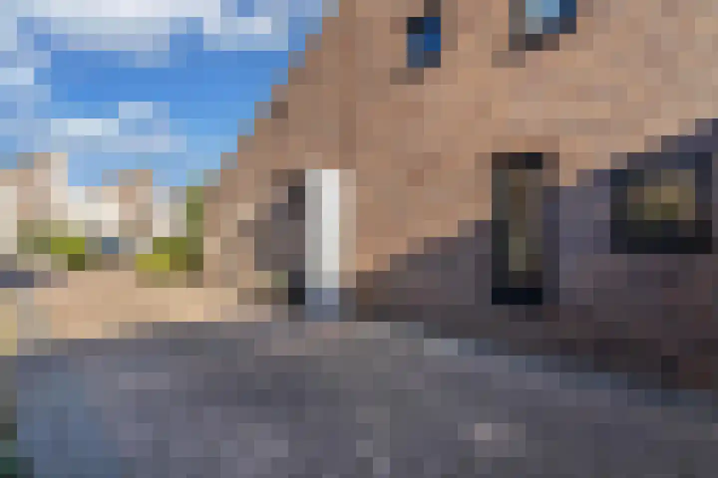 Apollovlinder 47 Sneek thumbnail 8