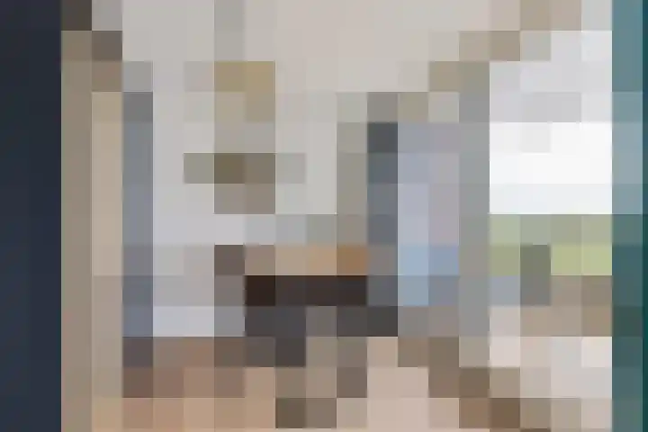 Apollovlinder 48 Sneek thumbnail 13