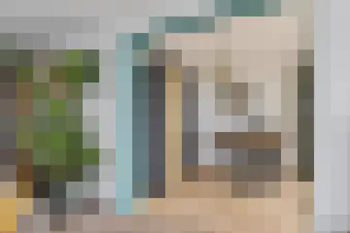 Apollovlinder 48 Sneek thumbnail 14