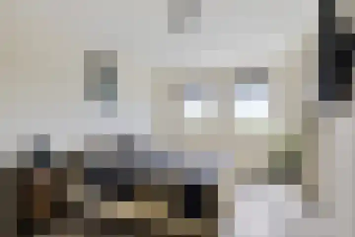 Apollovlinder 48 Sneek thumbnail 17