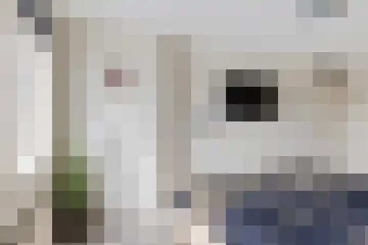 Apollovlinder 48 Sneek thumbnail 19