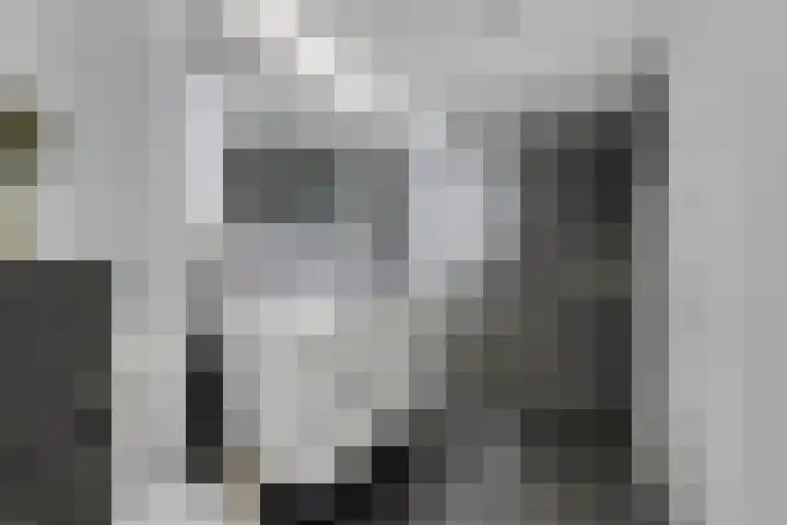 Apollovlinder 48 Sneek thumbnail 20