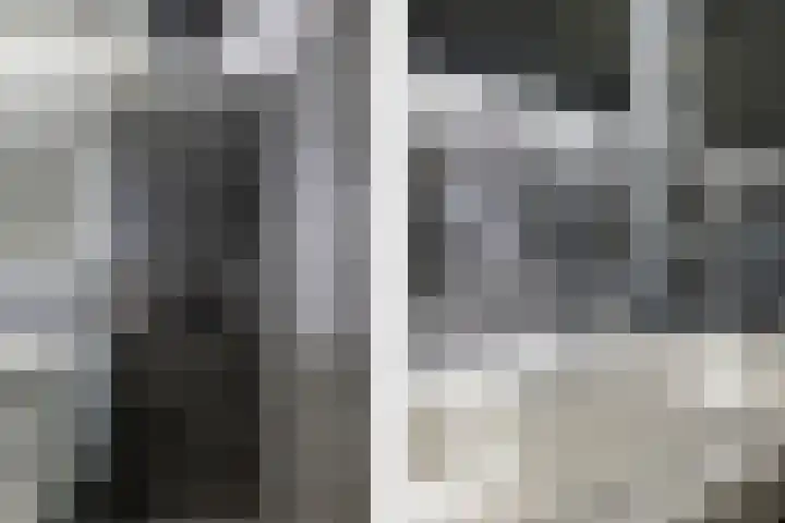 Apollovlinder 48 Sneek thumbnail 22