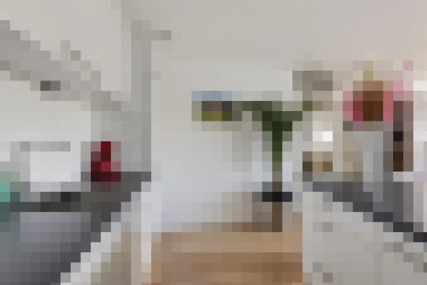 Apollovlinder 48 Sneek thumbnail 23