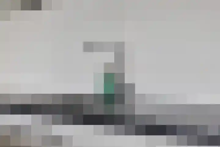 Apollovlinder 48 Sneek thumbnail 24