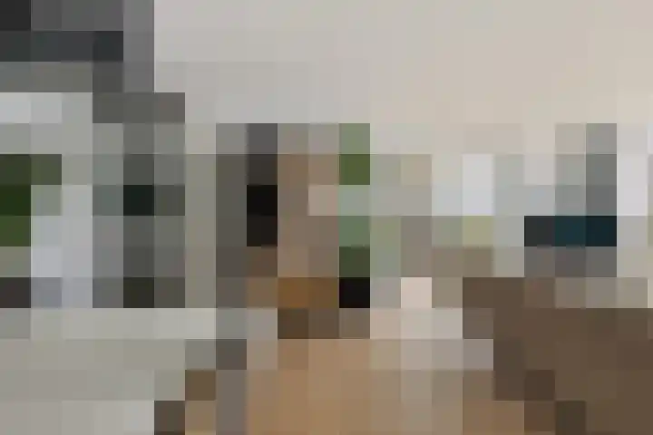 Apollovlinder 48 Sneek thumbnail 26