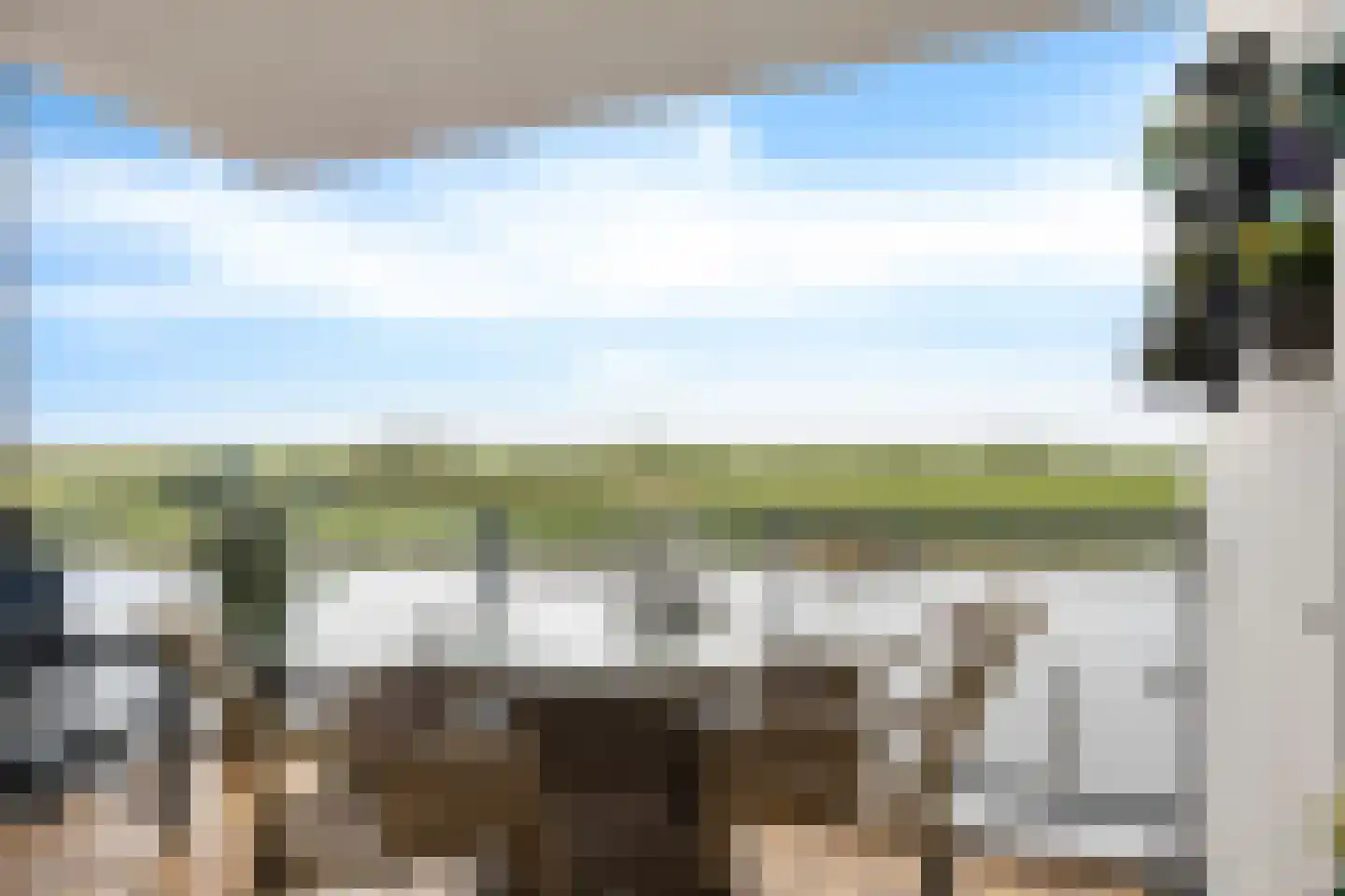 Apollovlinder 48 Sneek thumbnail 27