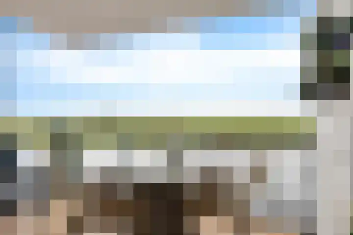 Apollovlinder 48 Sneek thumbnail 27