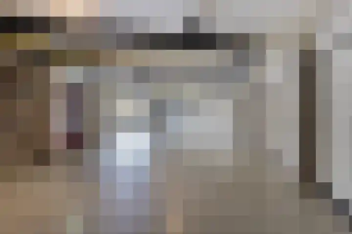 Apollovlinder 48 Sneek thumbnail 30