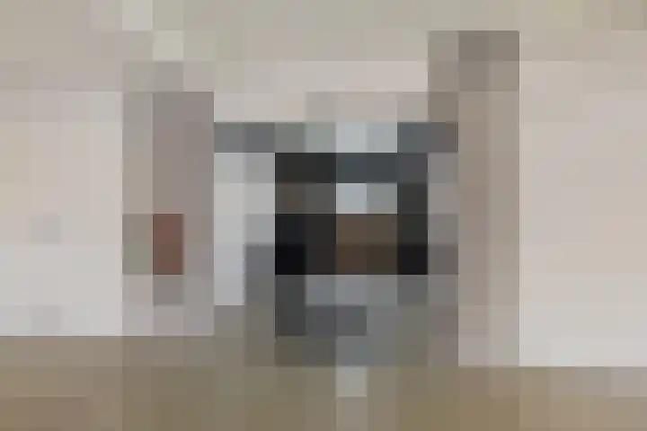 Apollovlinder 48 Sneek thumbnail 31