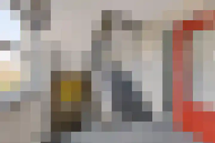 Apollovlinder 48 Sneek thumbnail 33