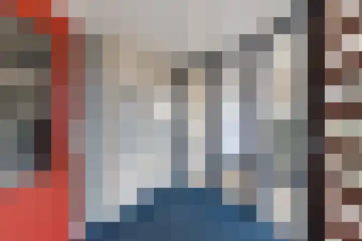 Apollovlinder 48 Sneek thumbnail 35