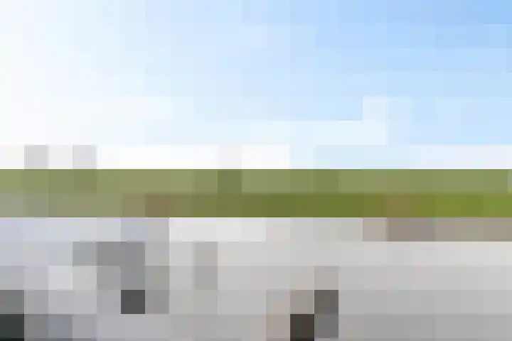 Apollovlinder 48 Sneek thumbnail 36