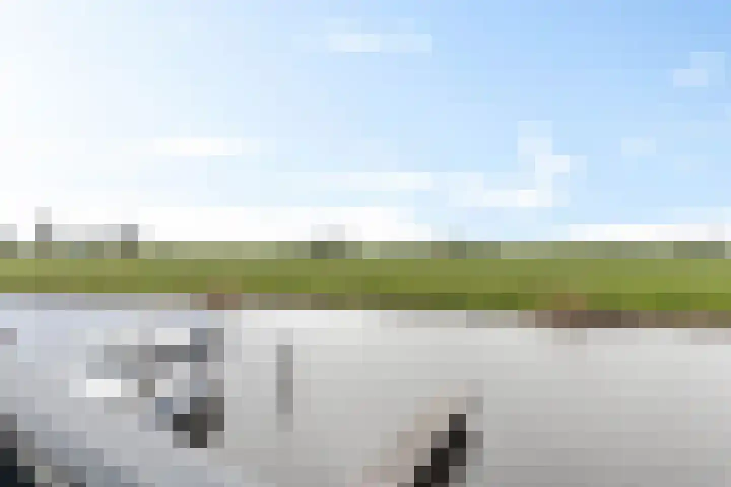 Apollovlinder 48 Sneek thumbnail 36