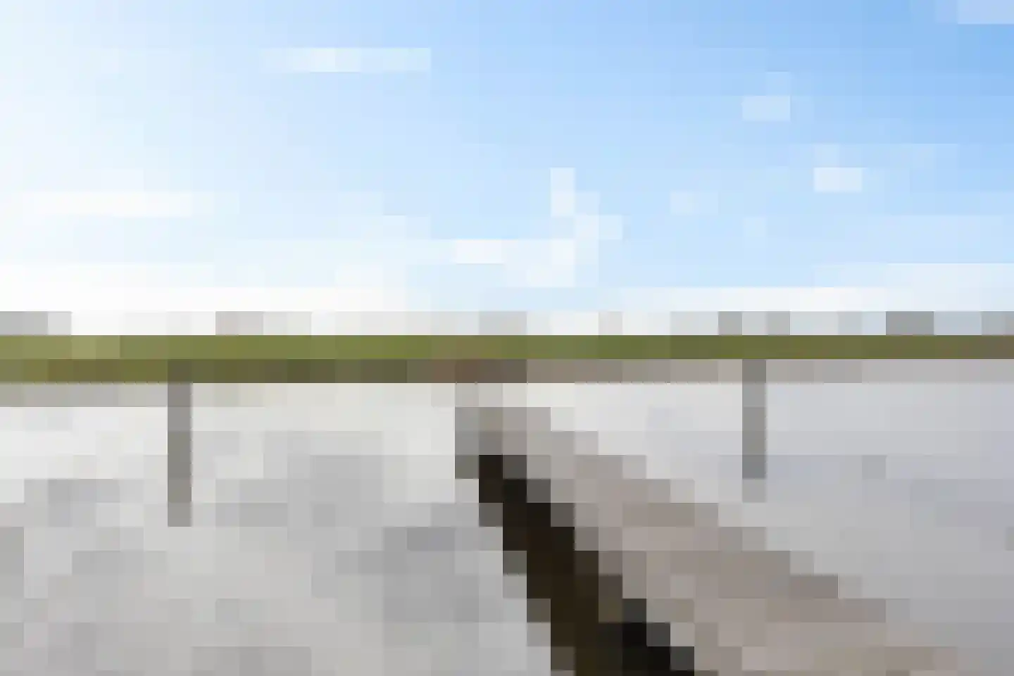 Apollovlinder 48 Sneek thumbnail 37