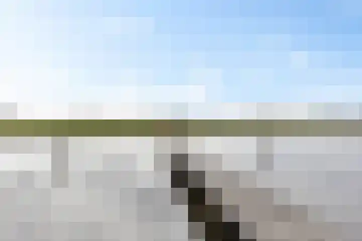 Apollovlinder 48 Sneek thumbnail 37