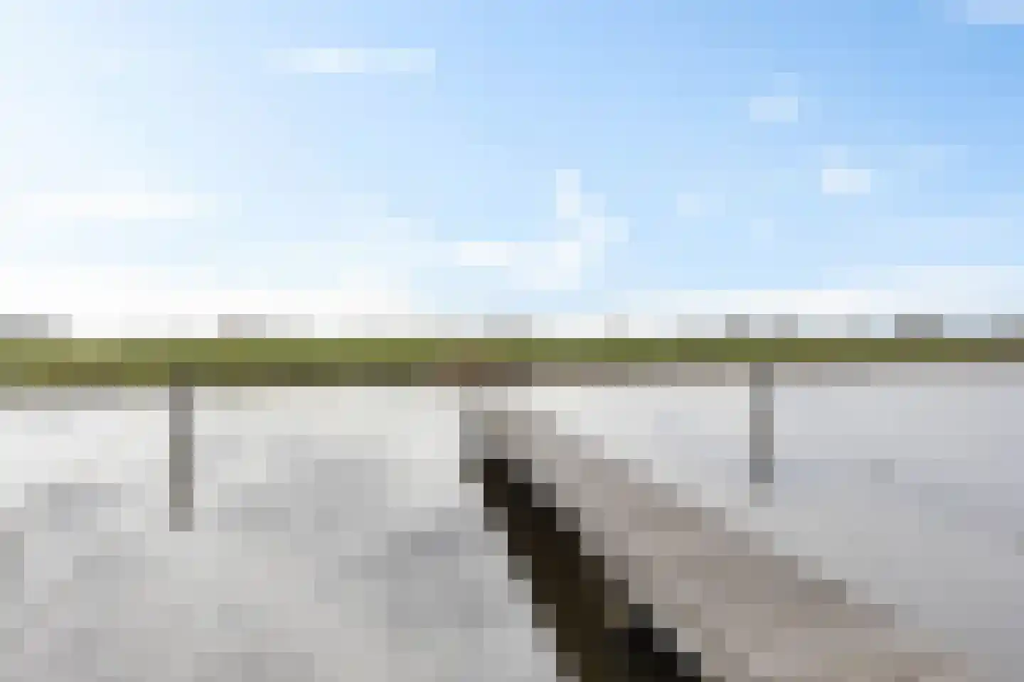 Apollovlinder 48 Sneek thumbnail 37